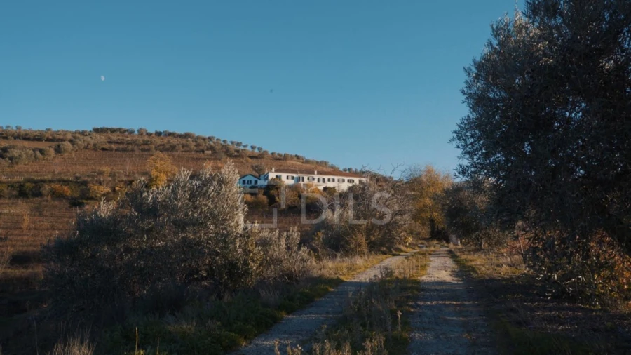Quinta T7 para Venda em Cambres Foto 39