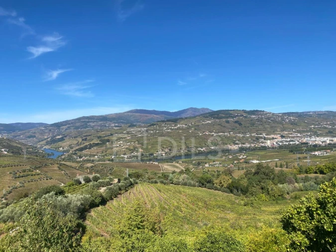 Quinta T7 para Venda em Cambres Foto 45