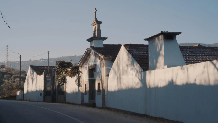 Quinta T7 para Venda em Cambres Foto 19