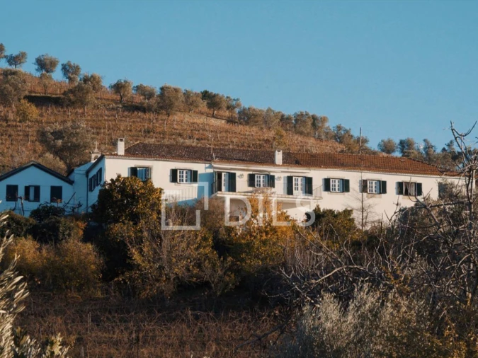 Quinta T7 para Venda em Cambres Foto 6