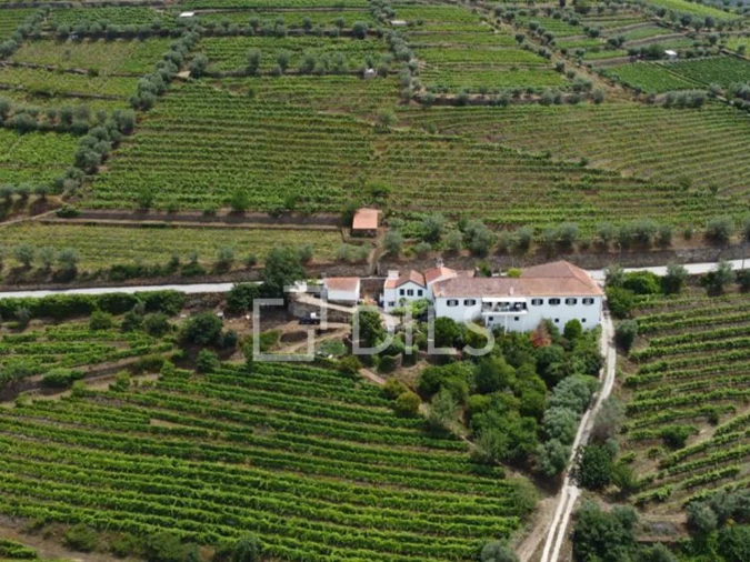 Quinta T7 para Venda em Cambres Foto 8