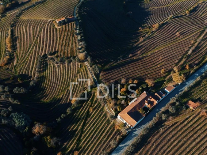 Quinta T7 para Venda em Cambres Foto 34