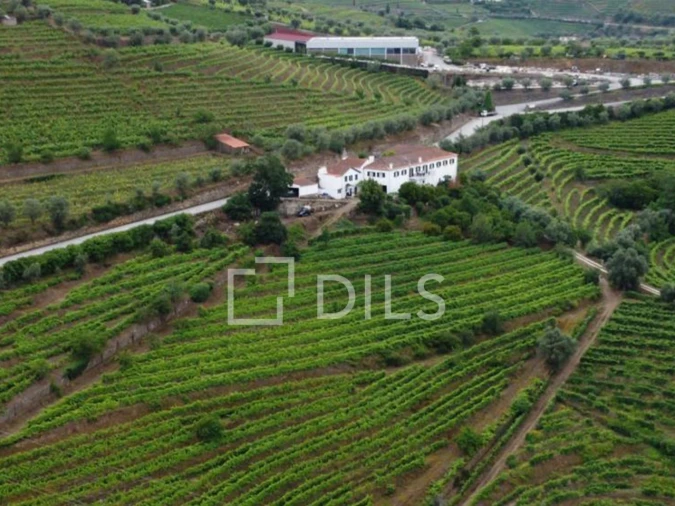 Quinta T7 para Venda em Cambres Foto 38