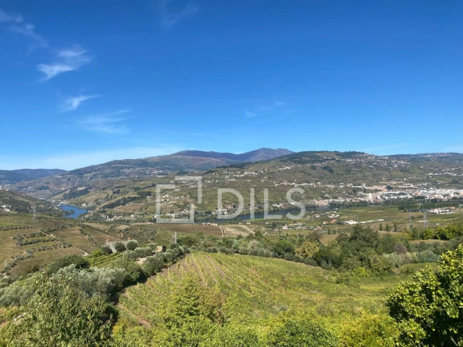 Quinta T7 para Venda em Cambres Foto 42