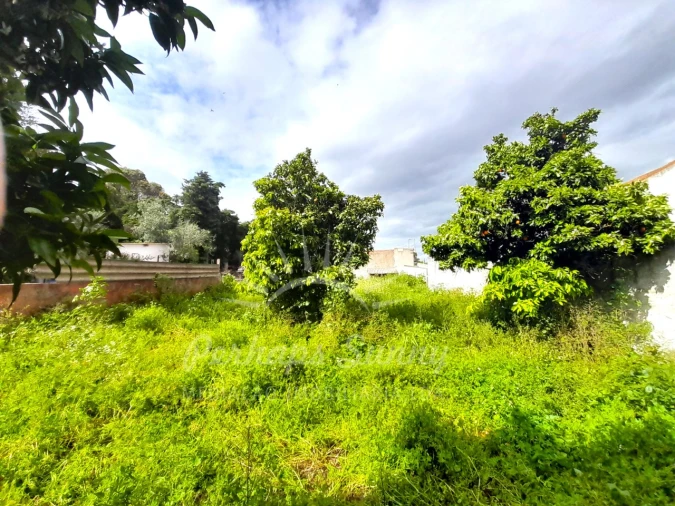 Moradia T5 para Venda em Ermidas-Sado Foto 21