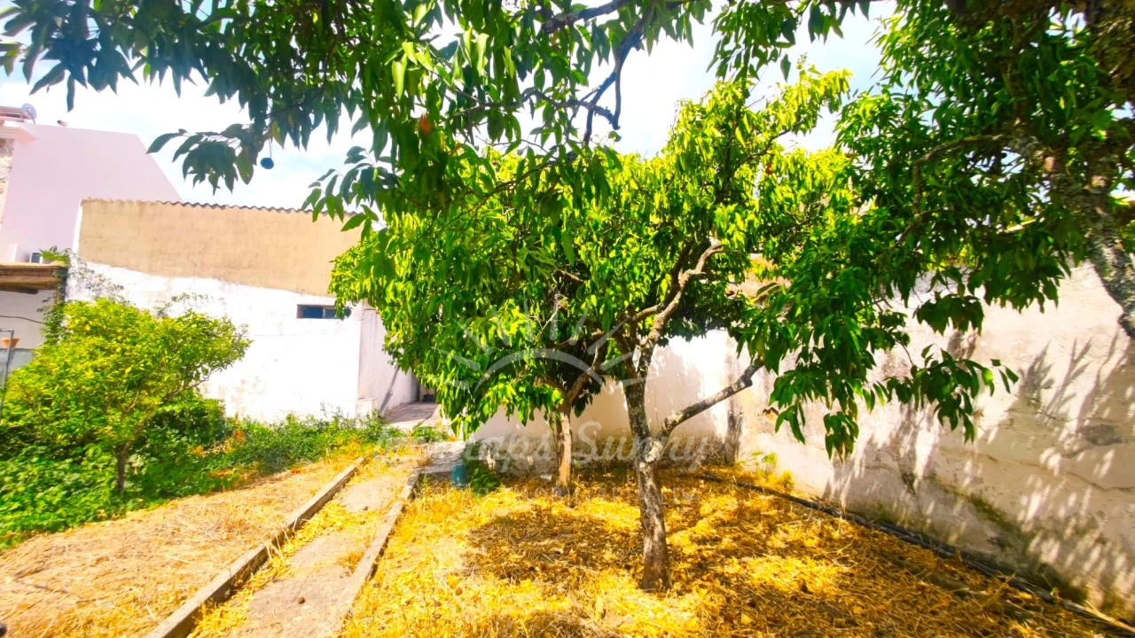 Moradia T2 para Venda em Grândola e Santa Margarida da Serra Foto 11