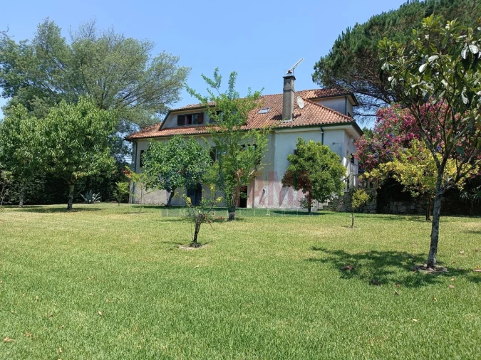 Quinta T10 para Venda em Esqueiros, Nevogilde e Travassós Foto 3