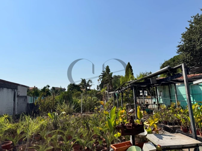 Terreno para Venda em Arcozelo Foto 3