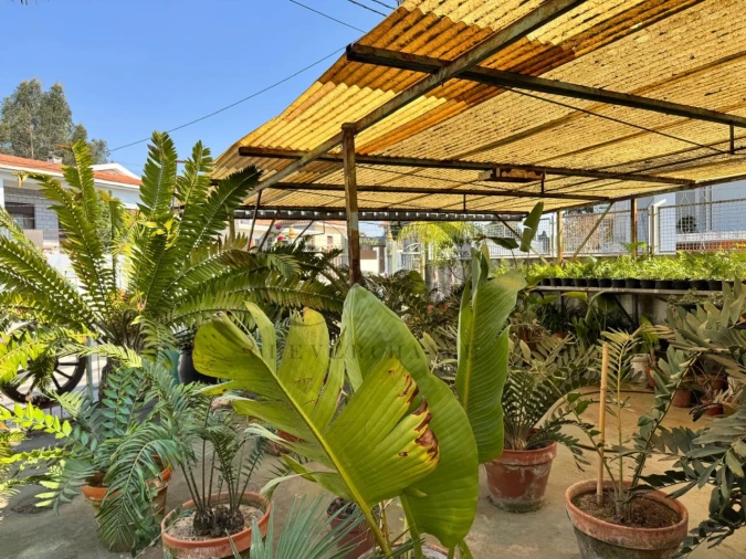 Terreno para Venda em Arcozelo Foto 4