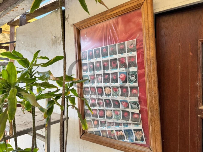 Terreno para Venda em Arcozelo Foto 7