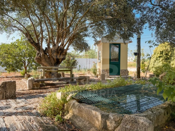 Moradia T3 para Venda em Salvaterra de Magos e Foros de Salvaterra Foto 41