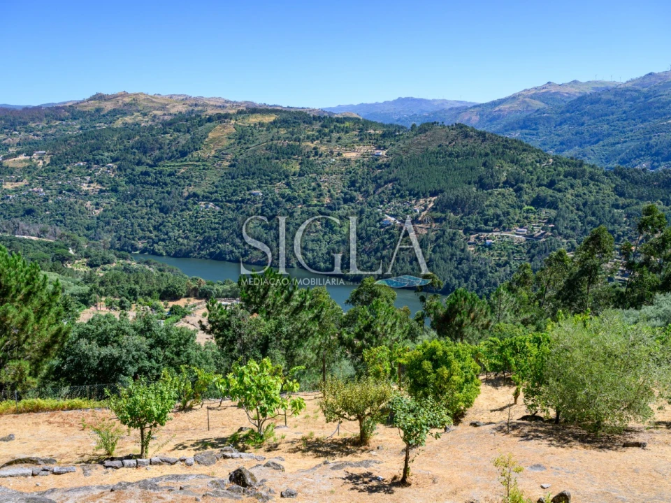 Quinta T5 para Venda em Ancede e Ribadouro Foto 16