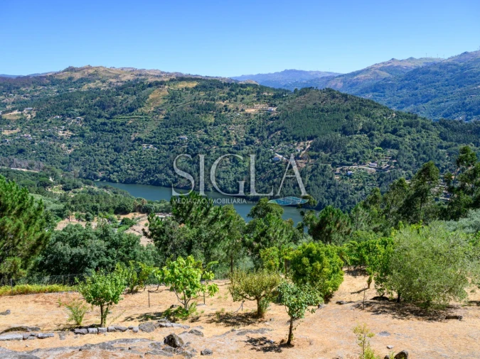 Quinta T5 para Venda em Ancede e Ribadouro Foto 16