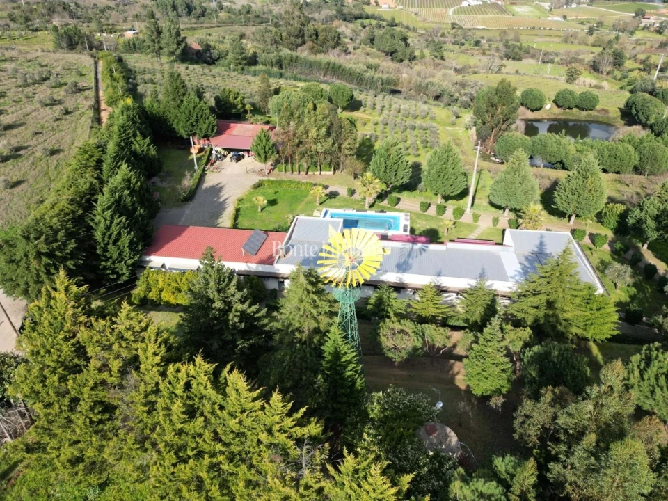 Quinta T5 para Venda em Tortosendo Foto 59