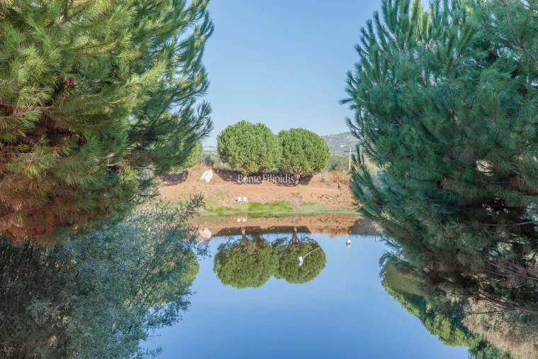 Quinta T5 para Venda em Tortosendo Foto 2