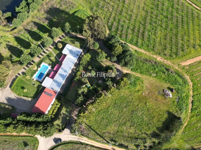 Quinta T5 para Venda em Tortosendo Foto 58