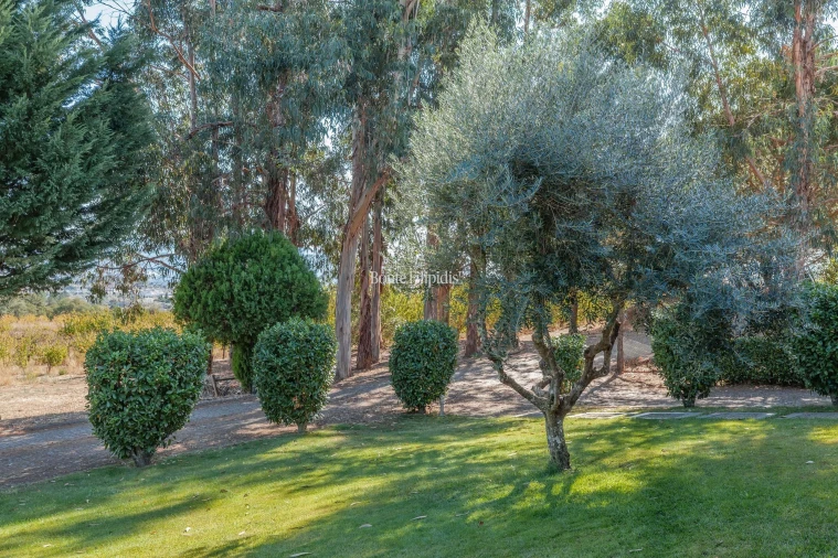 Quinta T5 para Venda em Tortosendo Foto 38