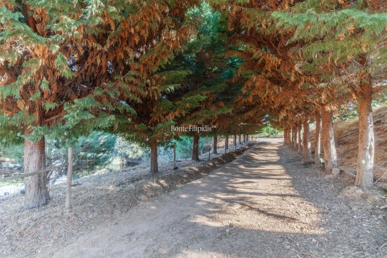 Quinta T5 para Venda em Tortosendo Foto 56