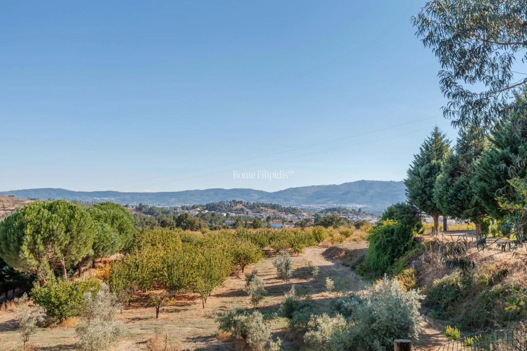 Quinta T5 para Venda em Tortosendo Foto 57