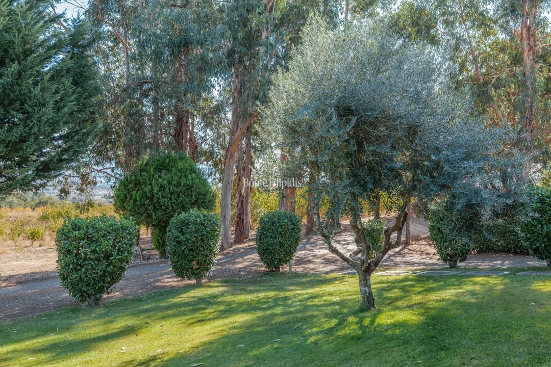 Quinta T5 para Venda em Tortosendo Foto 38