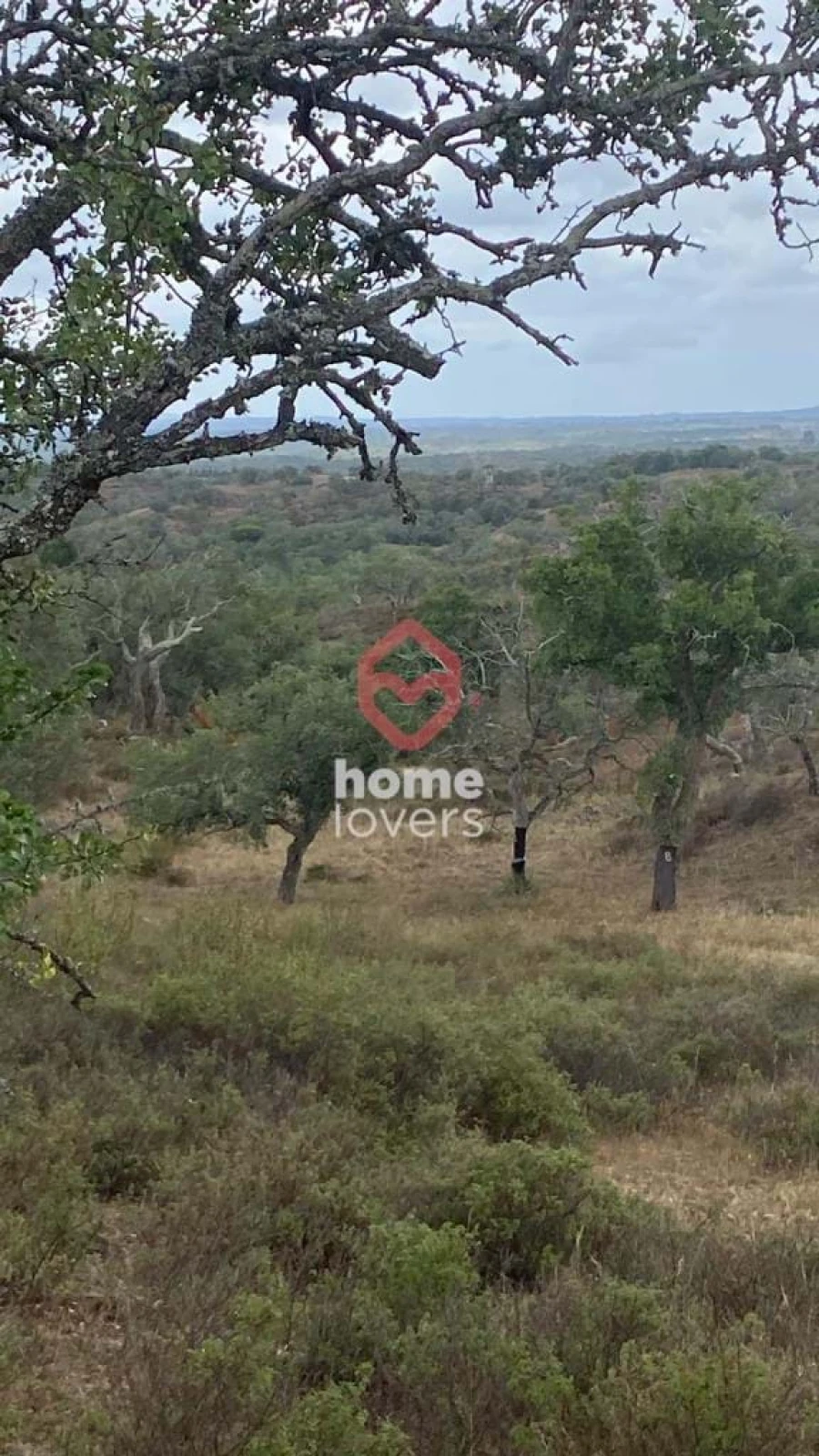 Terreno para Venda em São Francisco da Serra Foto 8