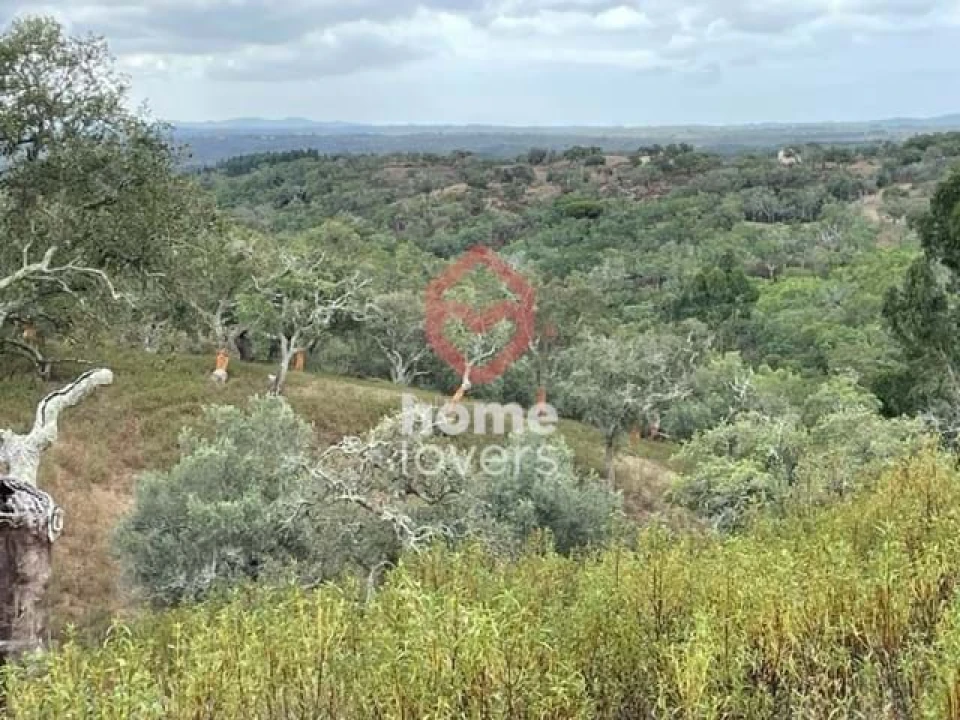 Terreno para Venda em São Francisco da Serra Foto 6