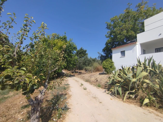 Moradia T5 para Venda em Madalena e Beselga Foto 39