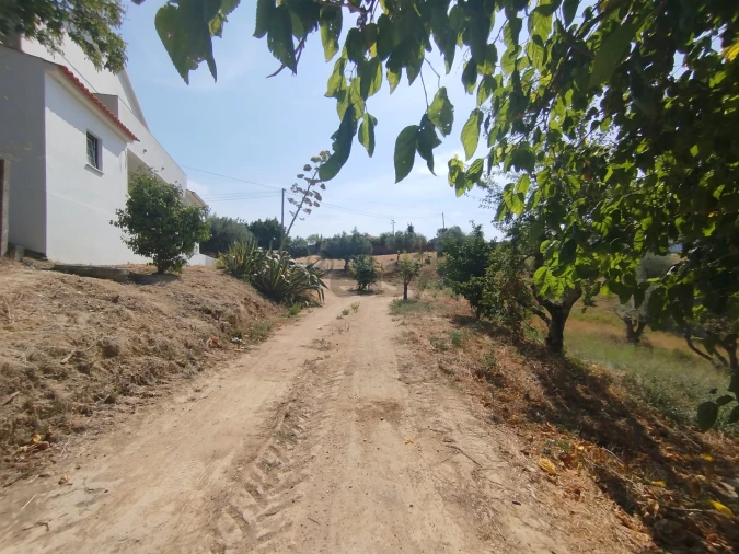 Moradia T5 para Venda em Madalena e Beselga Foto 36