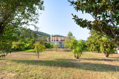 Quinta T4 para Venda em Sande Vila Nova e Sande São Clemente