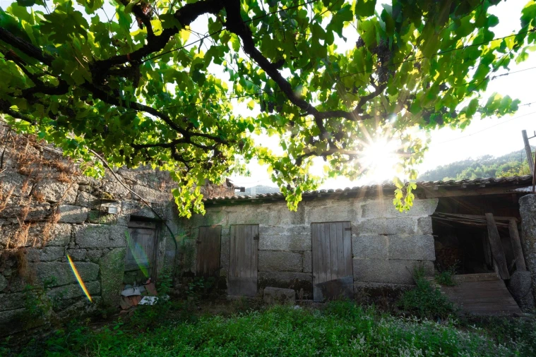 Quinta T4 para Venda em Sande Vila Nova e Sande São Clemente Foto 4