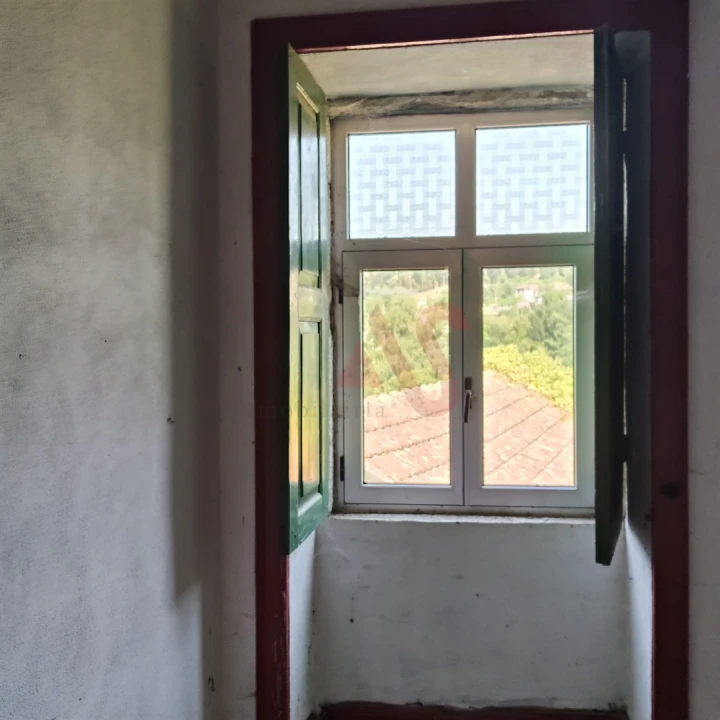 Quinta T8 para Venda em Ribeiros Foto 24