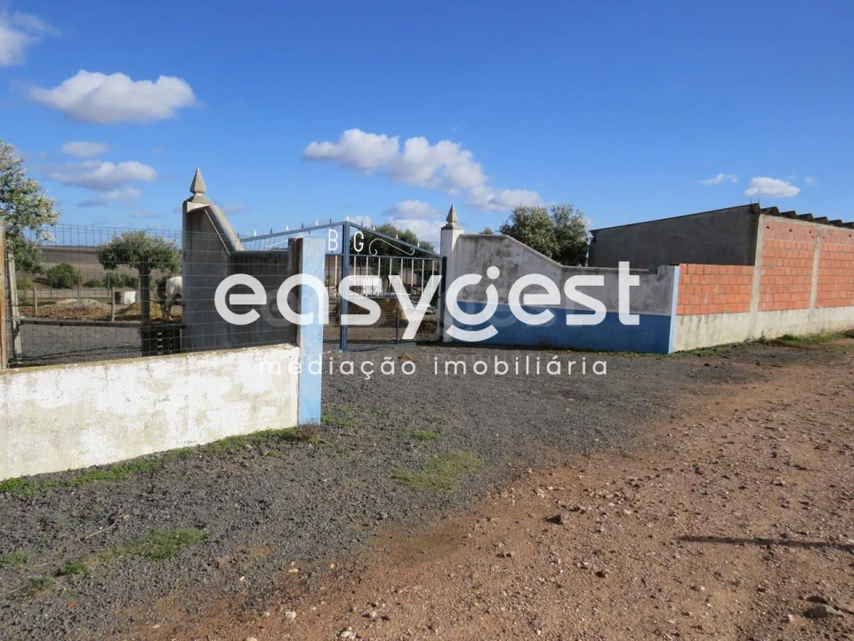 Terreno Agricola ou Rústico para Venda em Aljustrel e Rio de Moinhos Foto 2