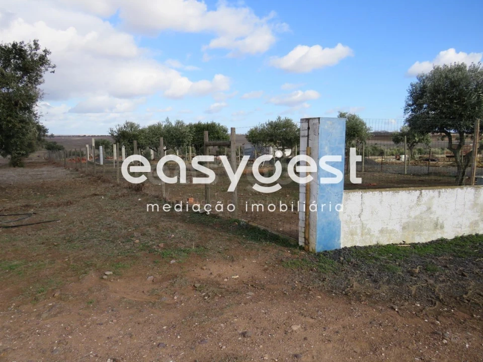 Terreno Agricola ou Rústico para Venda em Aljustrel e Rio de Moinhos Foto 3