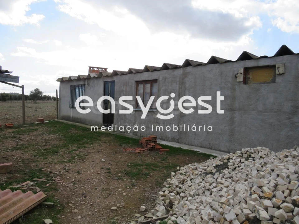 Terreno Agricola ou Rústico para Venda em Aljustrel e Rio de Moinhos Foto 13