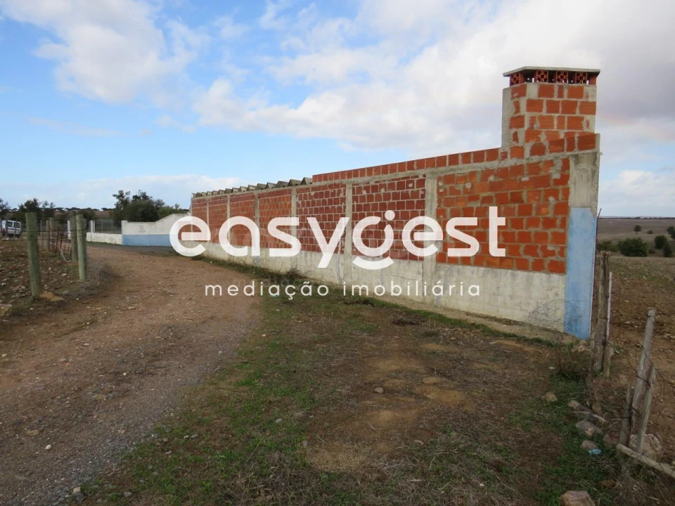Terreno Agricola ou Rústico para Venda em Aljustrel e Rio de Moinhos Foto 19