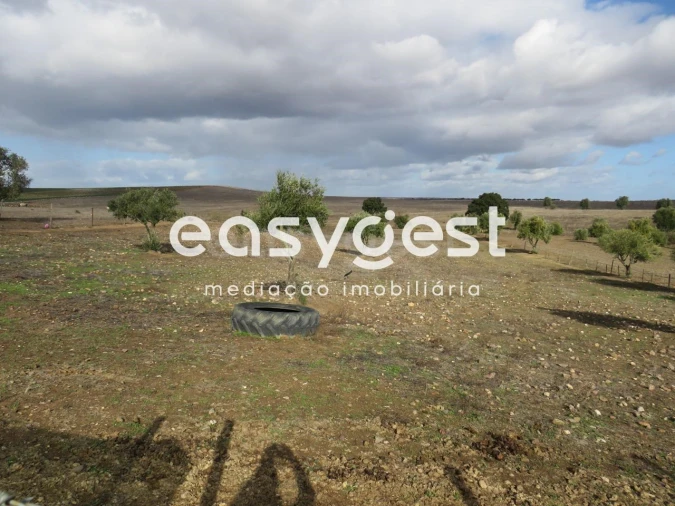 Terreno Agricola ou Rústico para Venda em Aljustrel e Rio de Moinhos Foto 7