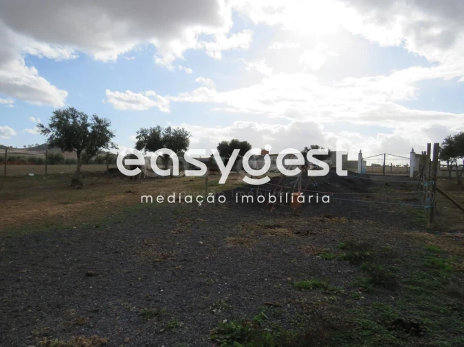 Terreno Agricola ou Rústico para Venda em Aljustrel e Rio de Moinhos Foto 9