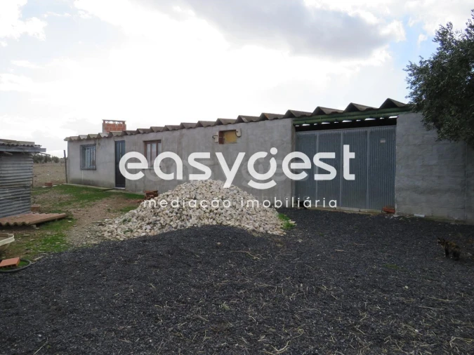 Terreno Agricola ou Rústico para Venda em Aljustrel e Rio de Moinhos Foto 11