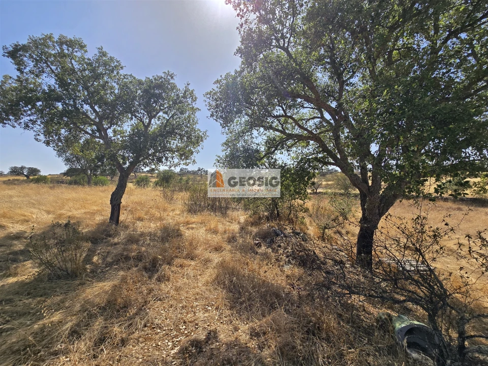 Terreno Agricola ou Rústico para Venda em Santa Cruz Foto 10