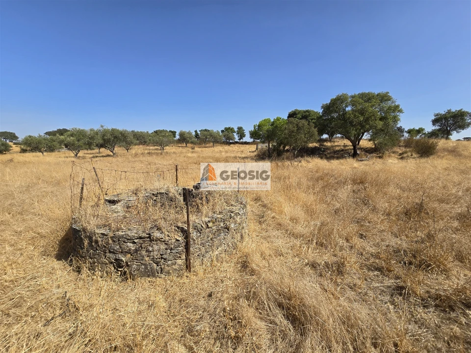 Terreno Agricola ou Rústico para Venda em Santa Cruz Foto 14