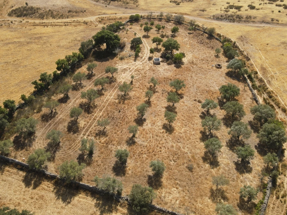 Terreno Agricola ou Rústico para Venda em Santa Cruz Foto 5