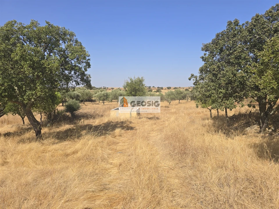 Terreno Agricola ou Rústico para Venda em Santa Cruz Foto 6