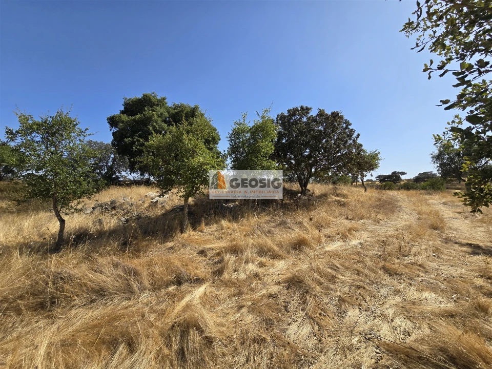 Terreno Agricola ou Rústico para Venda em Santa Cruz Foto 9