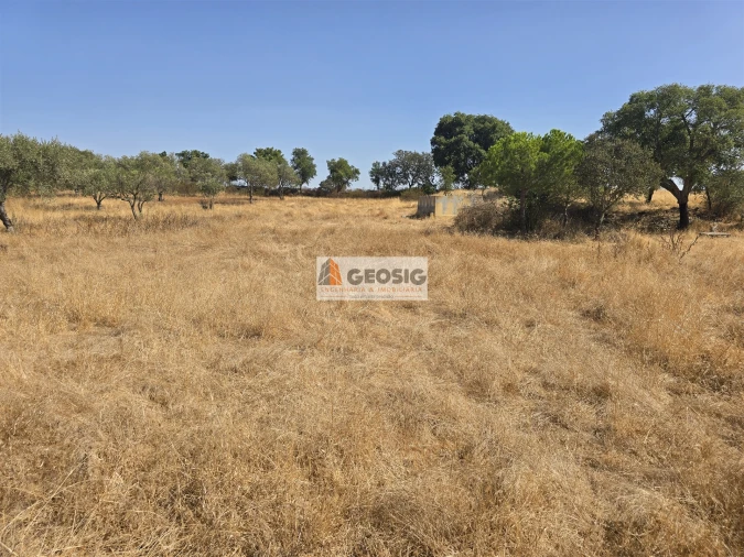 Terreno Agricola ou Rústico para Venda em Santa Cruz Foto 17