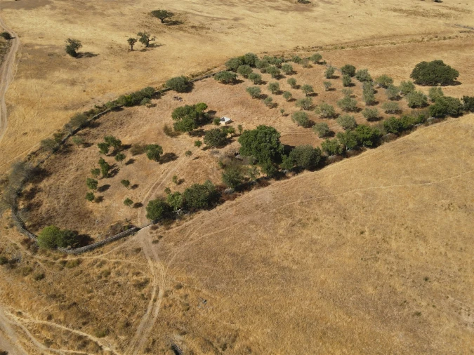 Terreno Agricola ou Rústico para Venda em Santa Cruz