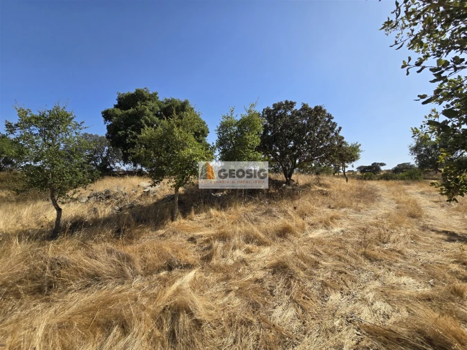 Terreno Agricola ou Rústico para Venda em Santa Cruz Foto 9