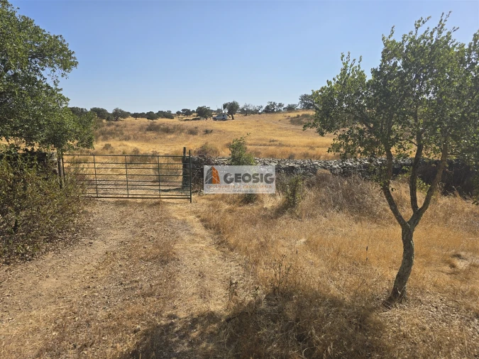 Terreno Agricola ou Rústico para Venda em Santa Cruz Foto 7