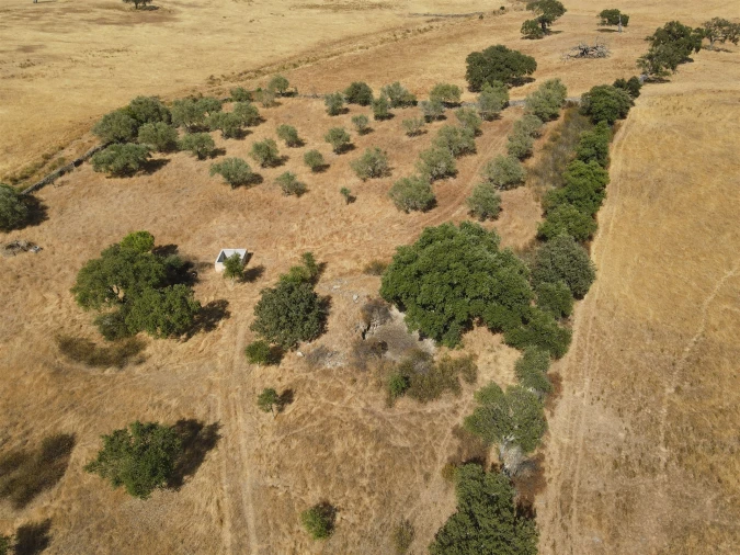 Terreno Agricola ou Rústico para Venda em Santa Cruz Foto 2