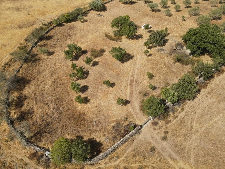Terreno Agricola ou Rústico para Venda em Santa Cruz Foto 3