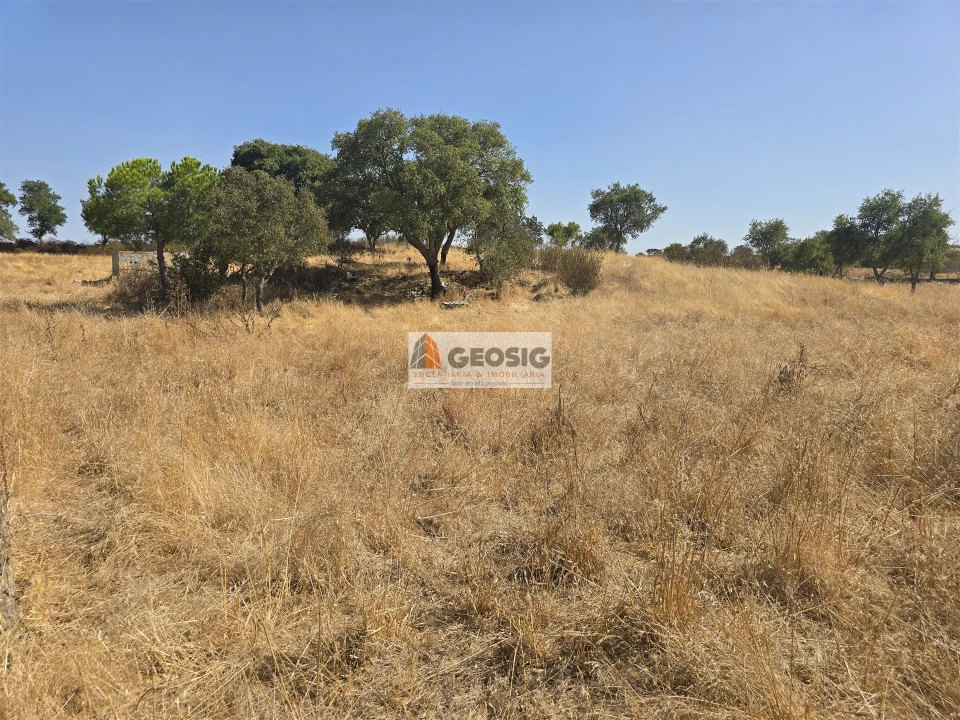 Terreno Agricola ou Rústico para Venda em Santa Cruz Foto 15